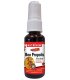 Nutridom Bee Propolis Spray 30 ML